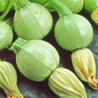 Тиквички Ди Ница Di Nizza