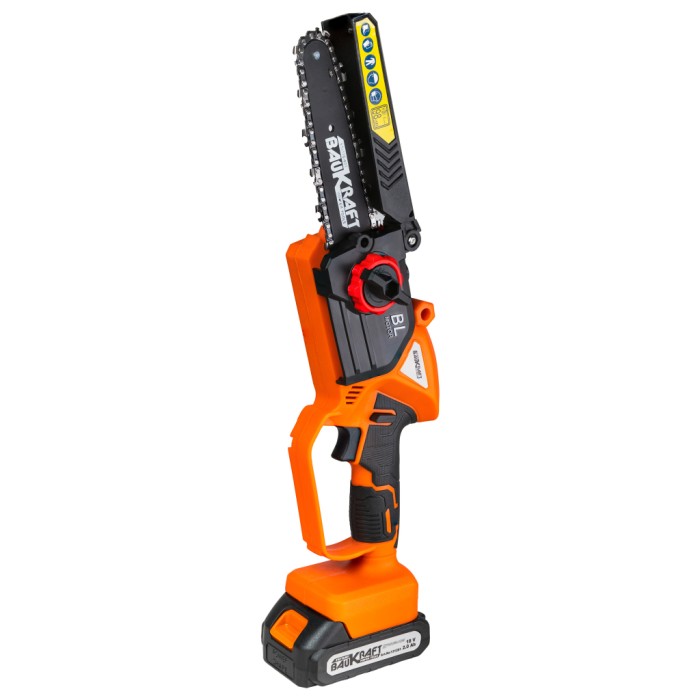 К-т Резачка 18V 15-20cm Лозарска ножица 2x2Ah2,5m BK-XGPPS25