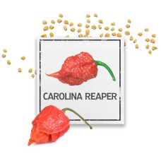 Семена Каролина Рийпър / Carolina Reaper - най-лютата чушка в света!