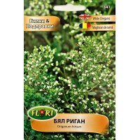 Бял риган / Origanum hirtum