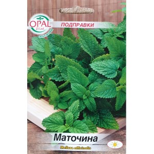 Маточина / Melissa officinalis