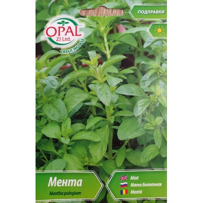 Мента / Mentha pulegium