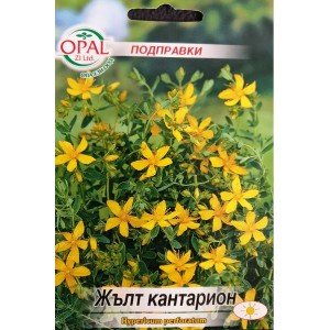 Жълт Кантарион - Hypericum perforatum