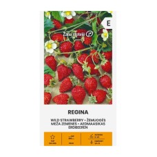 Ягоди Регина / Fragaria vesca