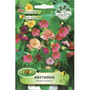 Абутилон (Стаен клен) микс / Abutilon hybridum mix