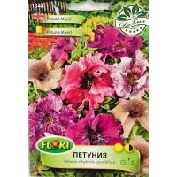 Петуния пъстра микс / Petunia x hybrida grandiflora veined mix