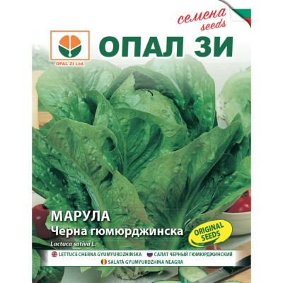 Маруля Черна Гюмюрджинска