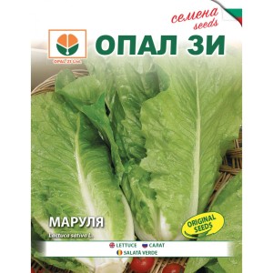 Маруля Париж