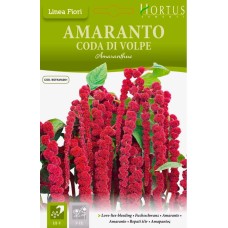  Амарант Лисича опашка / Amaranthus