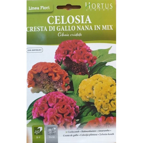 Целозия Джудже Микс / Celosia cristata