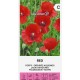 Червен Мак / Papaver dubium 