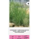 Червена власатка (финолистна) / Agrostis capillaris