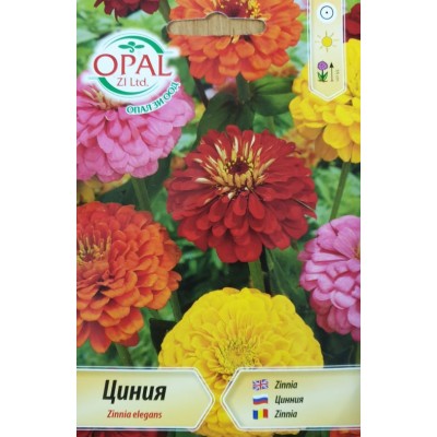 Циния микс / Zinnia elegans