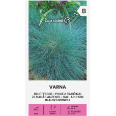 Декоративна трева Varna  / Festuca ovina Glauca