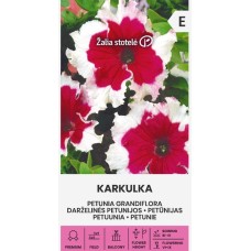 Едроцветна Петуния "Каркул"/ Petunia grandiflora 'Karkulka'