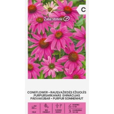 Ехинацея Лилава / Echinacea purpurea (L.) Moench