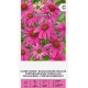 Ехинацея Лилава / Echinacea purpurea (L.) Moench