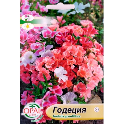 Годеция Микс / Godetia grandiflora