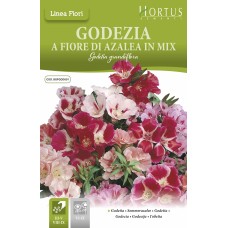 Годеция с Азалиеви цветове Микс / Godetia grandiflora