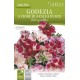 Годеция с Азалиеви цветове Микс / Godetia grandiflora