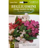 Импатиенс двоен Микс/ Impatiens balsamina 