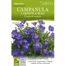 Кампанула Синя / Campanula Carpatica