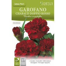 Карамфил Двоен Червен Чабауд / Dianthus caryophyllus