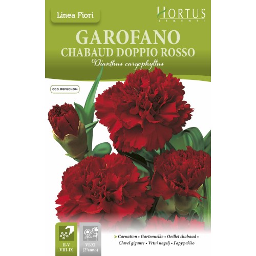 Карамфил Двоен Червен Чабауд / Dianthus caryophyllus