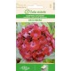 Карамфил Двоен Червен Oeschberg / Dianthus barbatus