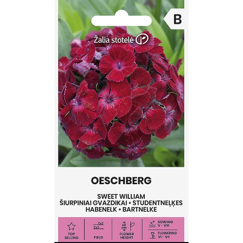 Карамфил Двоен Червен Oeschberg / Dianthus barbatus