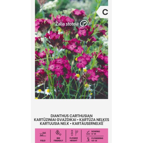 Карамфил Розов Картезиански / Dianthus carthusianorum