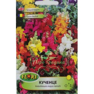 Кученце / Antirrhinum majus nanum