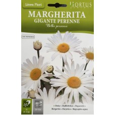 Маргаритка Многогодишна Гигант / Bellis Perennis