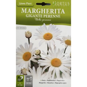 Маргаритка Многогодишна Гигант / Bellis Perennis