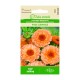 Медицински Невен Pink Surprise / Calendula officinalis L.