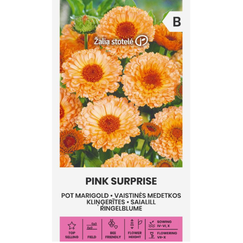 Медицински Невен Pink Surprise / Calendula officinalis L.