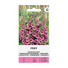 Напръсник Лилав Foxy / Digitalis purpurea