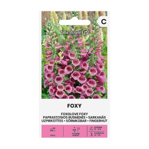 Напръсник Лилав Foxy / Digitalis purpurea