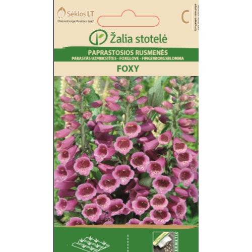 Напръсник Лилав Foxy / Digitalis purpurea