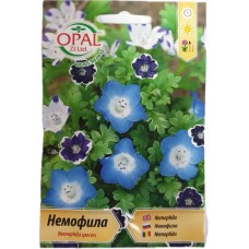 Немофила Микс / Nemophila species