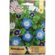 Немофила Микс / Nemophila species