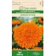 Невен Оранжев Гитана / Calendula officinalis