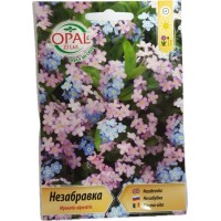 Незабравка / Myosotis alpestris