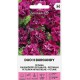 Петуния Двойна Бордо / Petunia hybrida