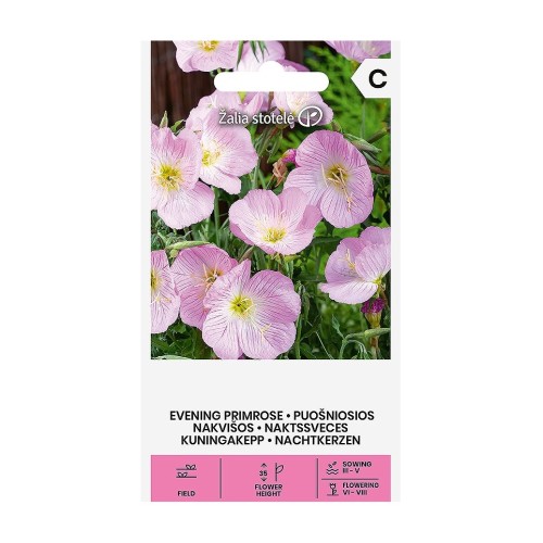 Вечерна Иглика Розова / Oenothera speciosa