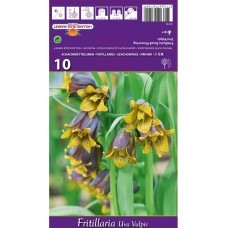 Фритилариа (гроздова лисица) / Fritillaria uva vulpis - 10 бр луковици