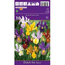 Ирис Холандски Микс / Dutch Iris Mixed - 10 бр луковици