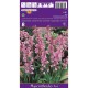 Лъжезюмбюл Розова камбанка / Hyacinthoides pink - 8 бр луковици