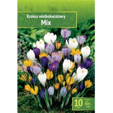 Минзухар Микс / Crocus mix - 10 бр луковици