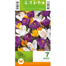 Минзухар Пролетен Микс / Crocus vernus - 7 бр луковици